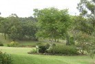 Daisy Hill VICresidential-landscaping-40.jpg; ?>